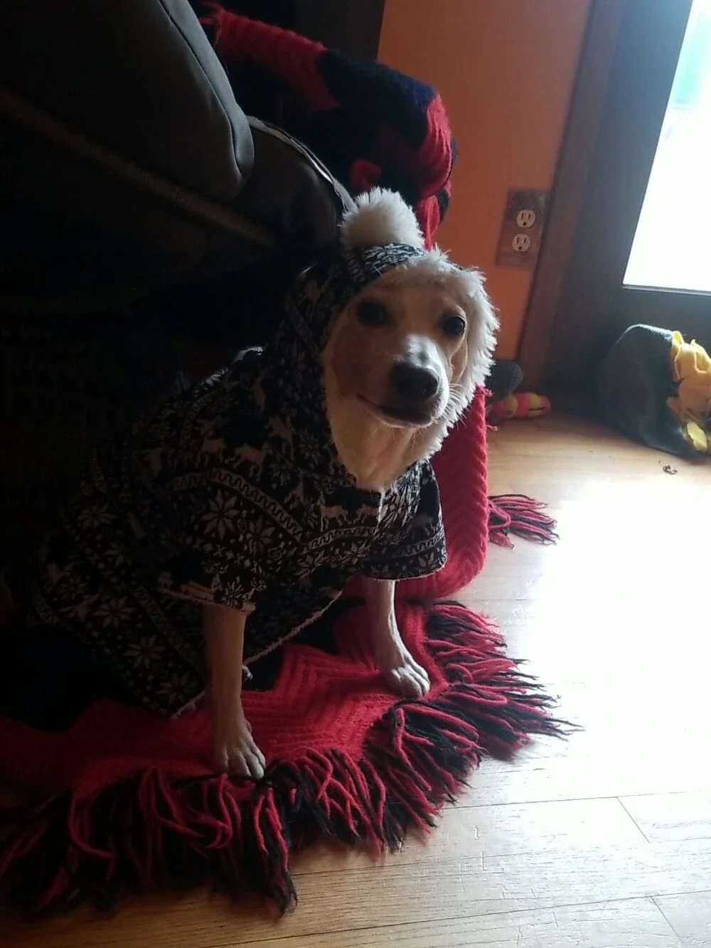 Fleece Hooded Dog Sweater